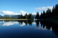Peter Schietzelt: Natur Bild #75