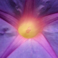 Peter Schietzelt: Natur Bild #84