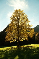 Peter Schietzelt: Natur Bild #92