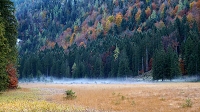 Peter Schietzelt: Natur Bild #94