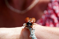 Peter Schietzelt: Tiere Bild #97